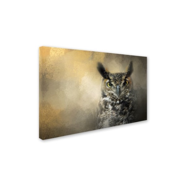 Jai Johnson 'Golden Eyes Great Horned Owl' Canvas Art,16x24